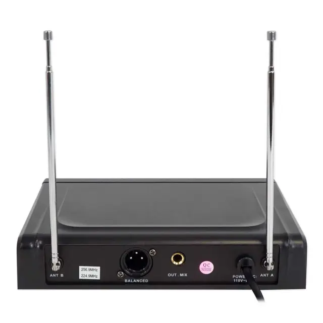 Ασύρματο σύστημα καραόκε με 2 μικρόφωνα Karaoke AK-960 2