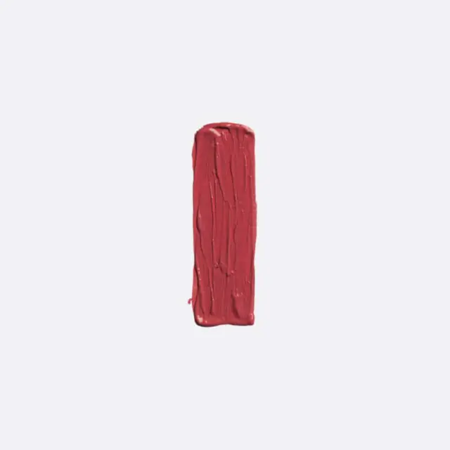 Elixir Forever Lip Mat Κραγιόν 202