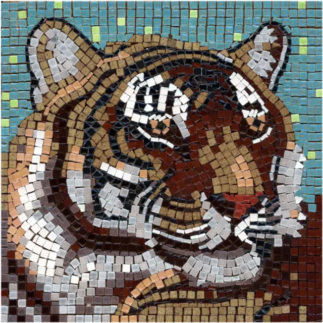 Σετ Με Μίνι Κεραμικές Ψηφίδες 20x20cm, Tiger