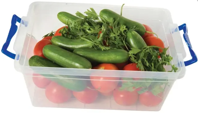 Viosarp Κουτί Πλαστικό Αποθήκευσης Νο354-ST004 10lt 36x23x16cm