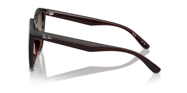 Γυαλιά Ηλίου Ray Ban RB4423D 714/13 Ντεγκραντέ (Ray Ban) (RB4423D 714/13) 3