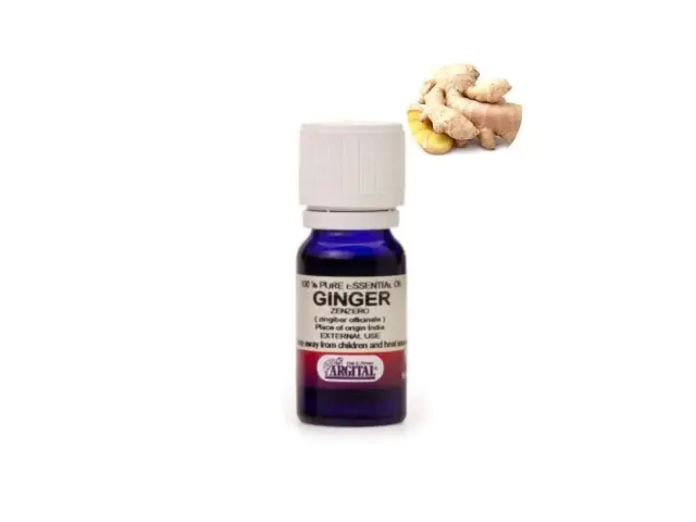 ARGITAL Essential Oil Ginger – Φυσικό Θερμαντικό Αιθέριο Έλαιο Τζίντζερ για Τόνωση & Ευεξία, 10 ml