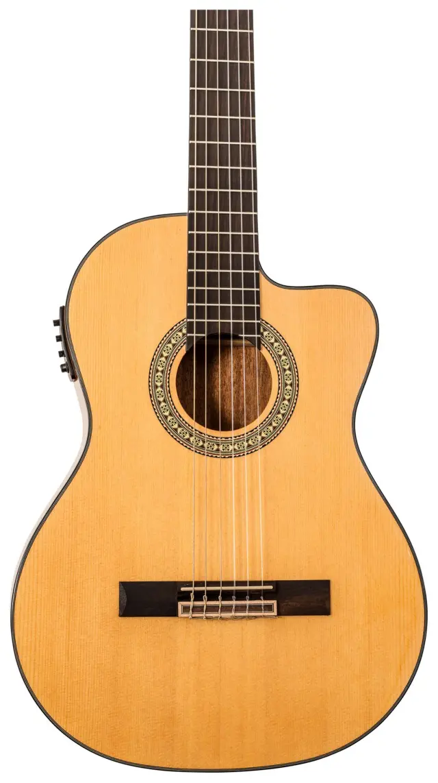 PEAVEY DELTA WOODS CNS-CE ΗΛΕΚΤΡΟΚΛΑΣΙΚΗ ΚΙΘΑΡΑ 3