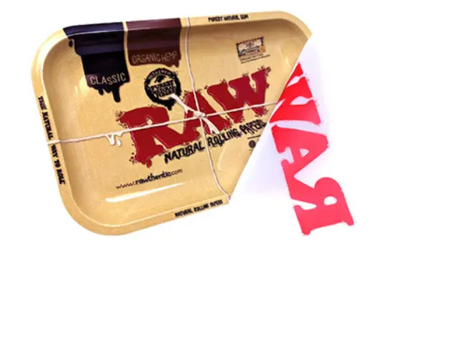 Raw Rolling Tray Δίσκος Small & Cover Κάλυμμα Σιλικόνης (17x27cm) 3