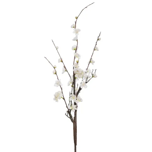 Αμυγδαλιά λευκή 120cm Iliadis 92259