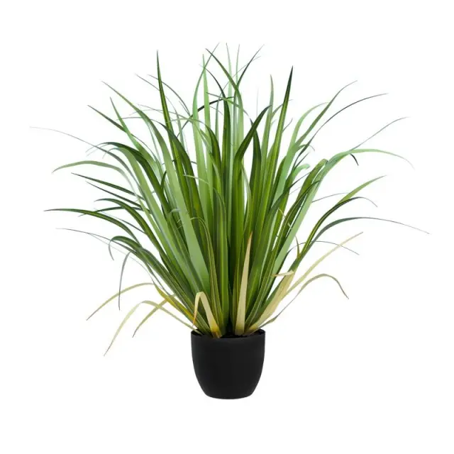 GloboStar® Acorus Gramineus 20103 Τεχνητό Διακοσμητικό Φυτό Άκορος Y90cm Κίτρινο Πράσινο 3
