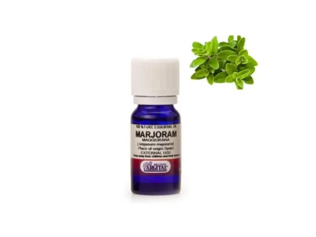 ARGITAL Essential Oil Marjoram – Φυσικό Θερμαντικό Αιθέριο Έλαιο Μαντζουράνας για Χαλάρωση & Ευεξία, 10 ml