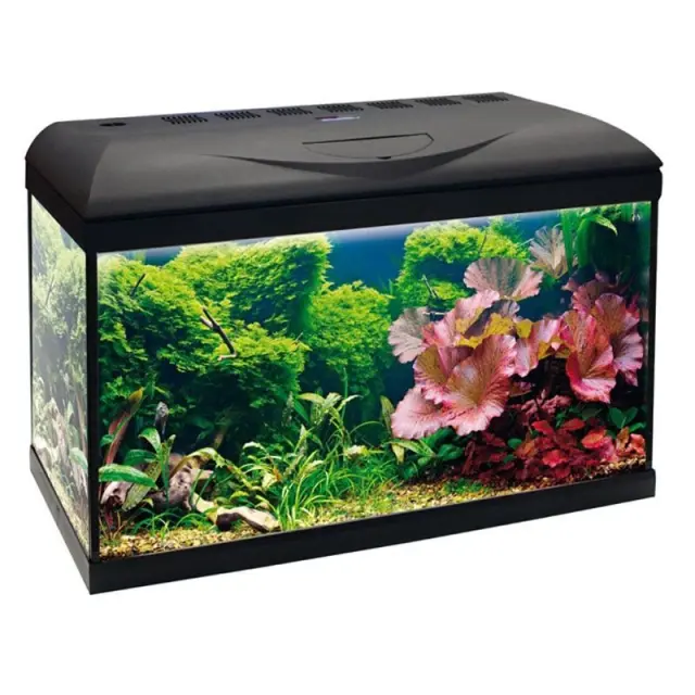Amtra Ενυδρείο Basic 80 Led 95lt 80x45x32cm
