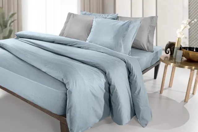 ΣΕΝΤΟΝΙ ΔΙΠΛΟ 200x265 COLOR PLUS GUY LAROCHE RAF