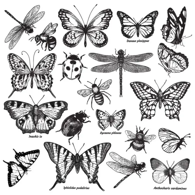 Σφραγίδα Re-design, Monarch Collection, 30,5x30,5cm