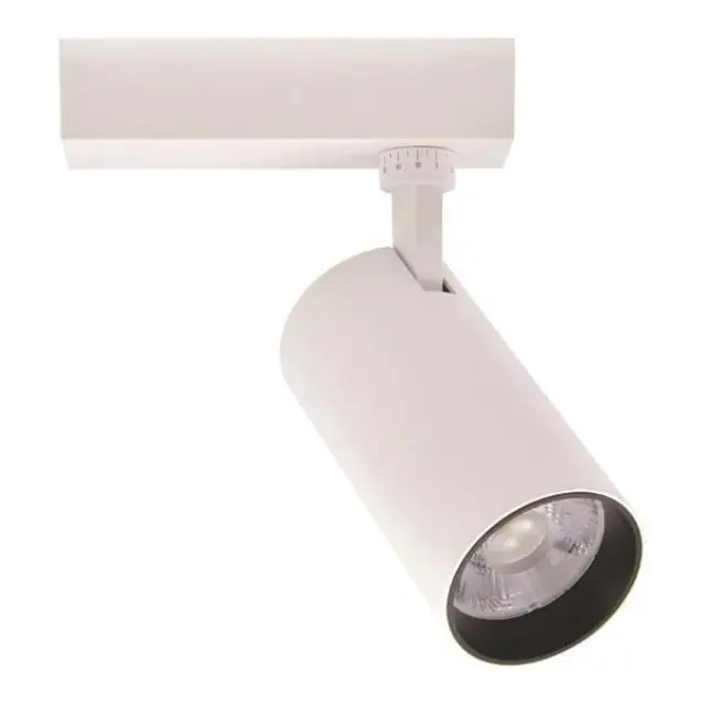 ΣΠΟΤ ΡΑΓΑΣ LED 2 ΓΡΑΜΜΩΝ 30W 3000K Φ80Χ160 ΛΕΥΚΟ Άσπρο