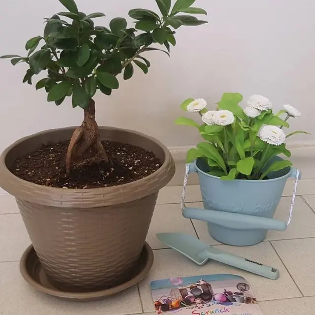 Scrunch Κουβαδάκι από ανακυκλώσιμη σιλικόνη Duck Egg Blue SCR-110012 2