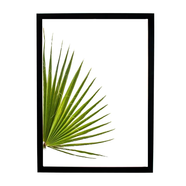 Θέμα (leaves 20) 2 Κάδρα 50X70 με κορνίζα ξύλινη μαύρη, τζαμί άθραυστο ακρυλικό, συνολικό έργο 105cm x70cm. 3