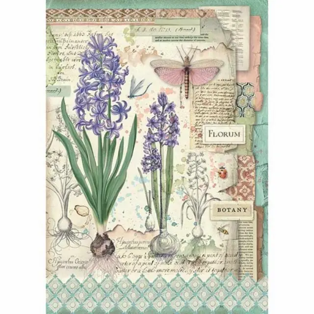 Ριζόχαρτο Stamperia 21x29cm A4, Botanic Bulbs