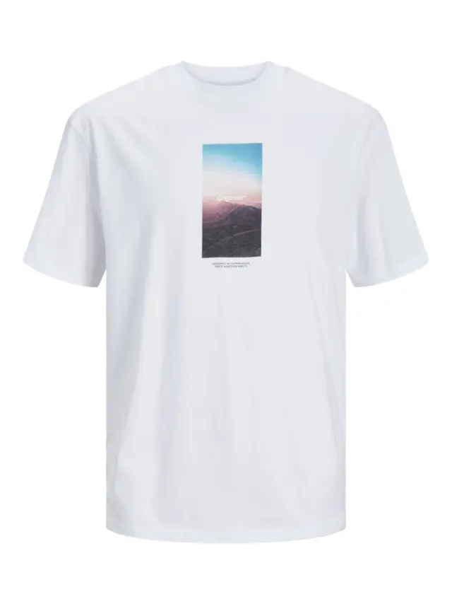 JORVESTERBRO PICTURE TEE SS CREW NECK SN bright white
