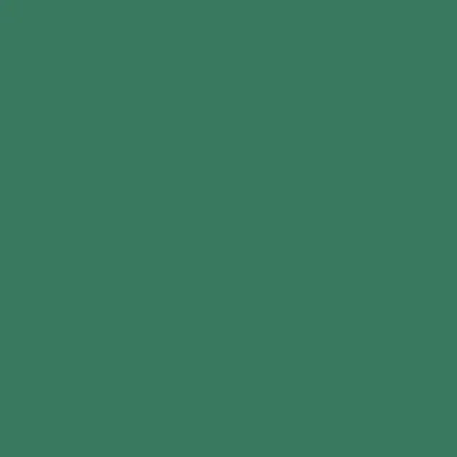 Manfrotto 9074 Χάρτινο Φόντο 2.72x11m PINE GREEN 2
