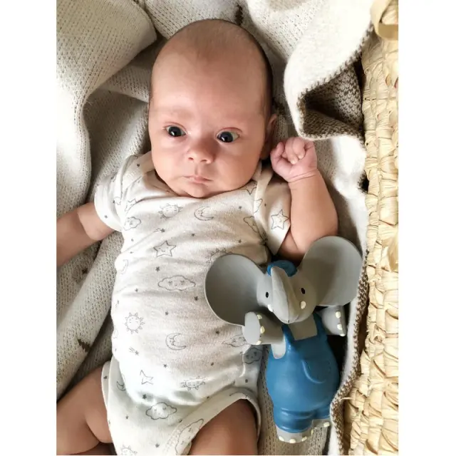 TIKIRI TOYS TIKIRI ΜΑΣΗΤΙΚΟ ΠΑΙΧΝΙΔΙ SQUEAKER ALVIN Ο ΕΛΕΦΑΝΤΑΚΟΣ 2