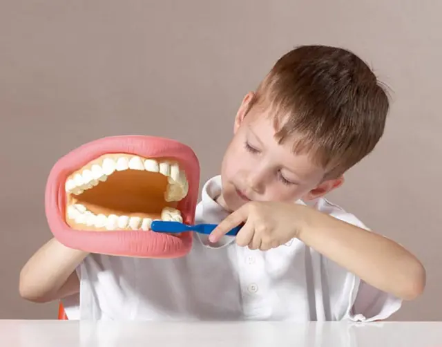 TickiT Γιγαντιαίο Ομοίωμα Στόματος - Giant Teeth Demonstration Model 03083 2
