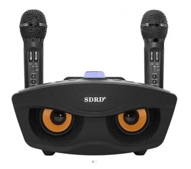 Σύστημα Karaoke με Ασύρματα Μικρόφωνα SD-306 σε Μαύρο Χρώμα