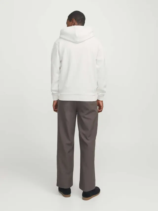 JJEBRADLEY SWEAT ZIP HOOD NOOS Cloud Dancer 2